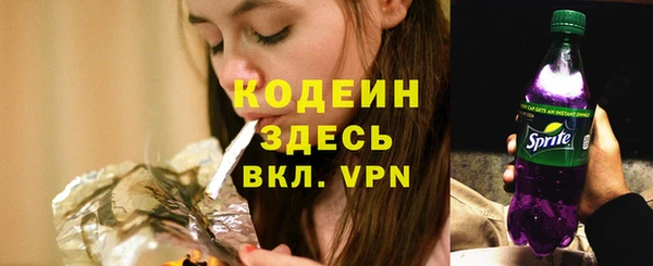 эйфоретик Гусев