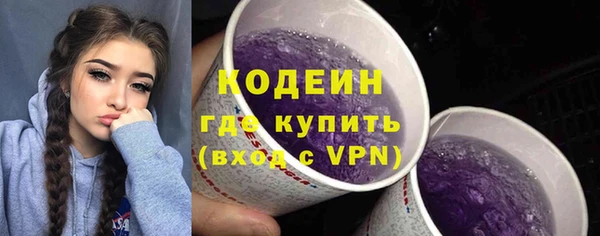 эйфоретик Гусев