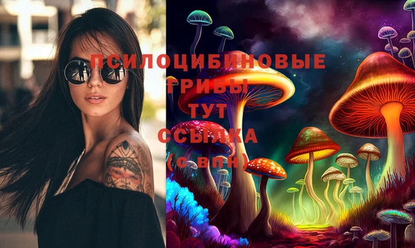 марки nbome Гусь-Хрустальный