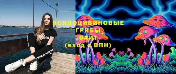 эйфоретик Гусев