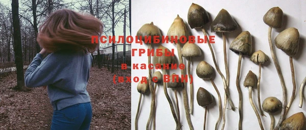 марки nbome Гусь-Хрустальный
